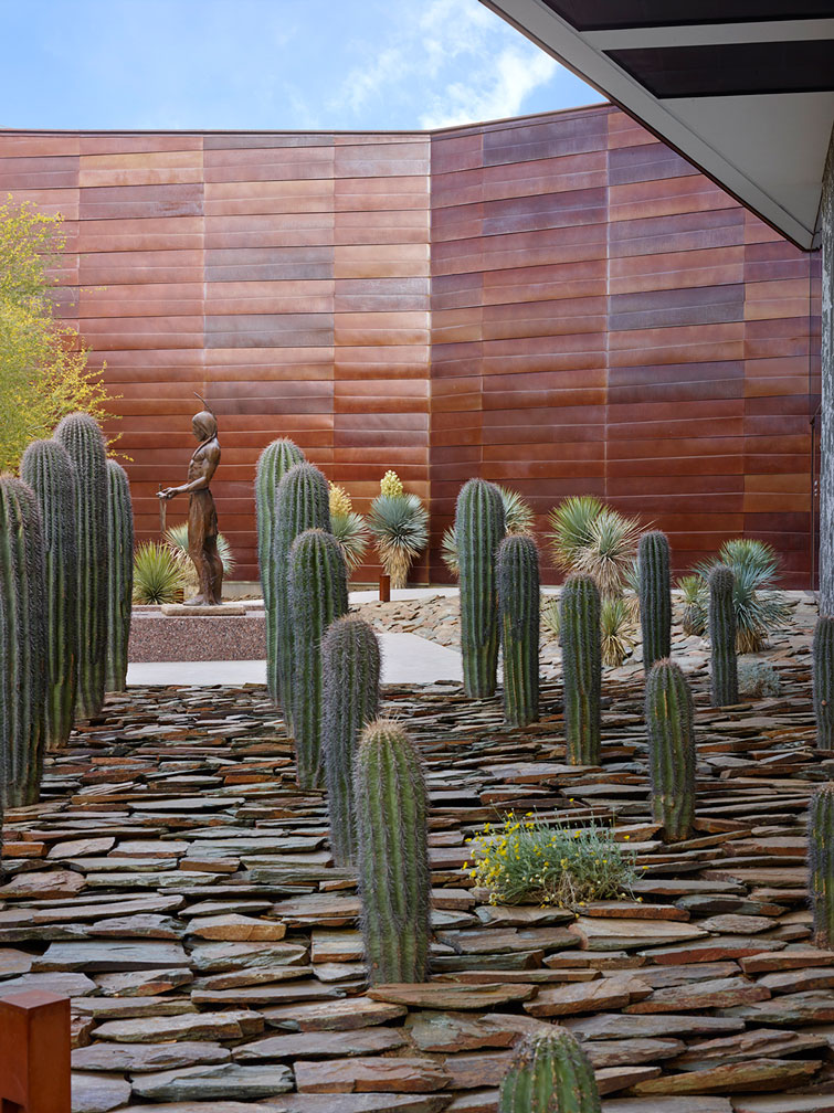 Scottsdale's Museum of the West - Cacti