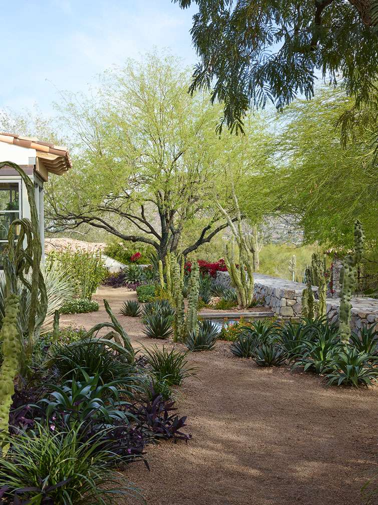 House of Desert Gardens - Garden