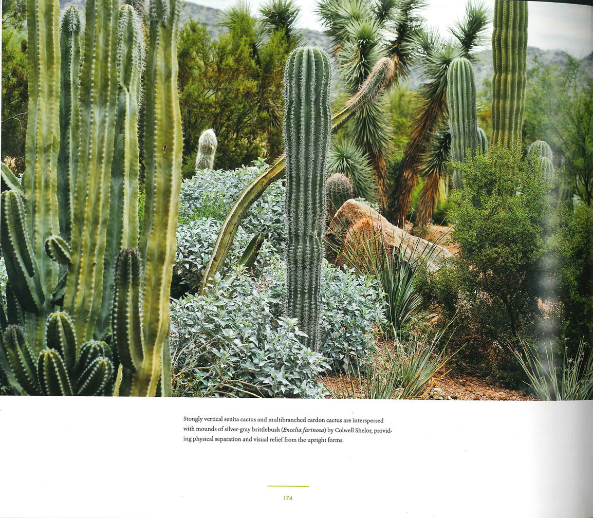 Naturalistic and Contemporary Landscape Design- Page 1