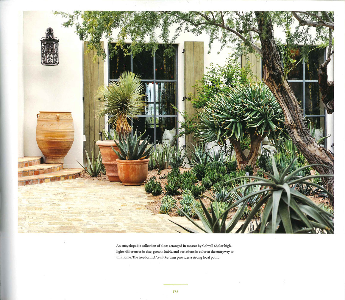 Naturalistic and Contemporary Landscape Design- Page 2