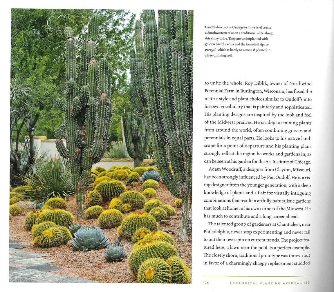 Naturalistic and Contemporary Landscape Design- Page 3