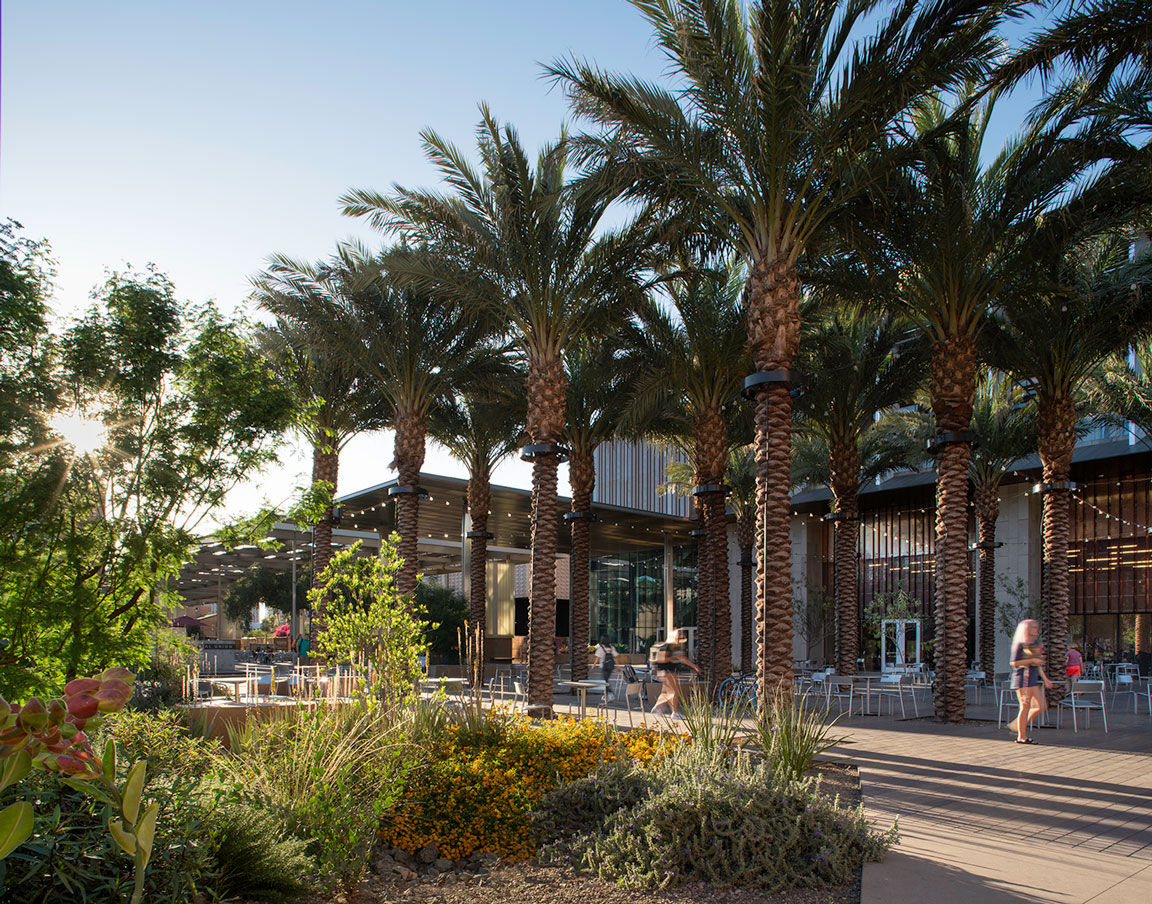 Arizona State University Orange Mall Green Infrastructure - Image02