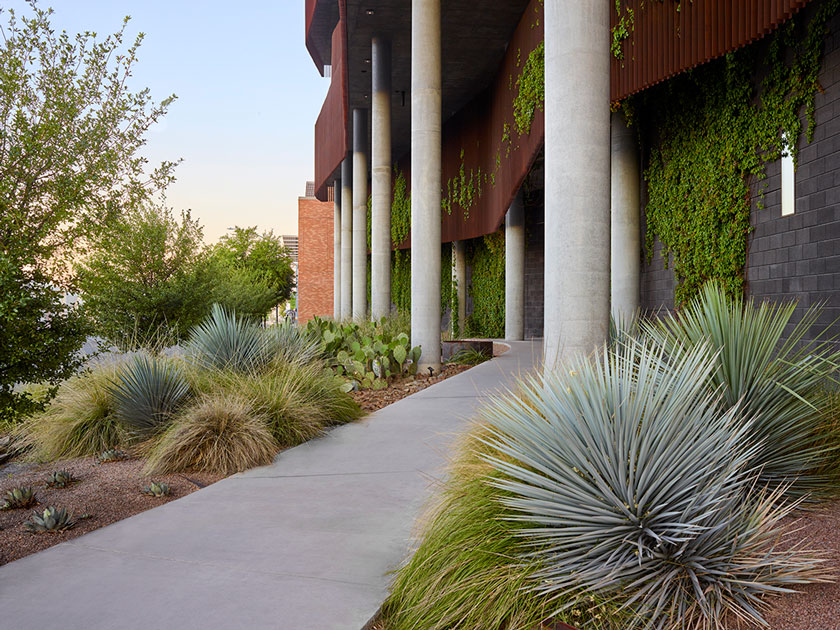University of Arizona Environmental and Natural Resources - Image04